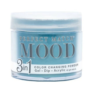 Perfect Match Mood Powder - 009 Tidal Wave