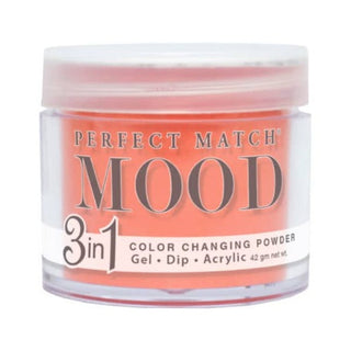 Perfect Match Mood Powder - 045 Sundance