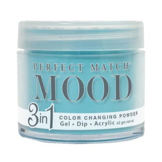 Perfect Match Mood Powder - 064 Sea Foam