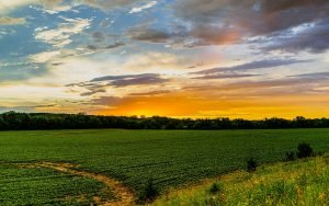 Iowa landscape — photo by Anival Torres on Unsplash