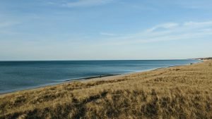 Michigan landscape — photo by Adam Bouse on Unsplash