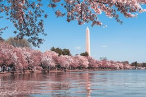 Washington landscape — photo by Andy He on Unsplash