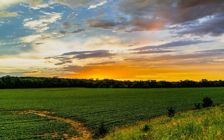 Iowa landscape — photo by Anival Torres on Unsplash