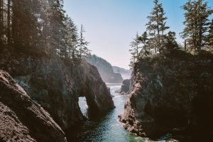 Oregon landscape — photo by Katie Musial on Unsplash