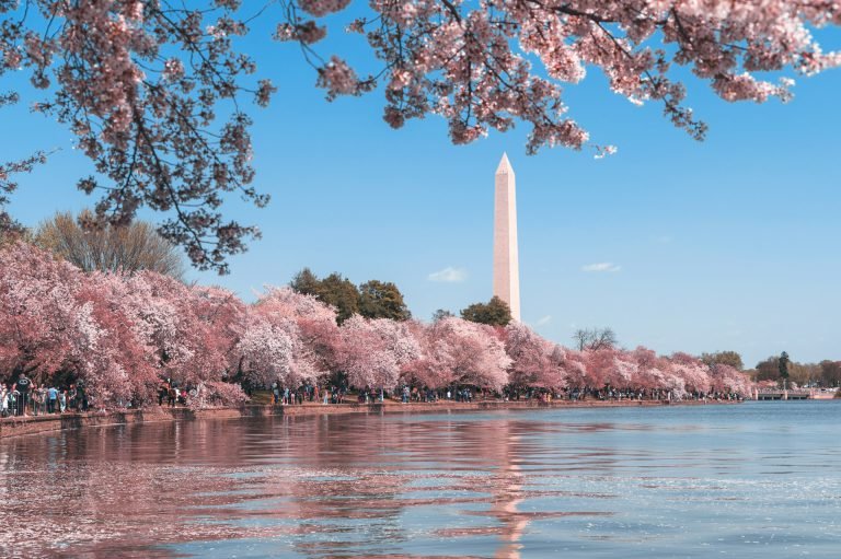 Washington landscape — photo by Andy He on Unsplash